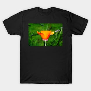 California Poppy T-Shirt